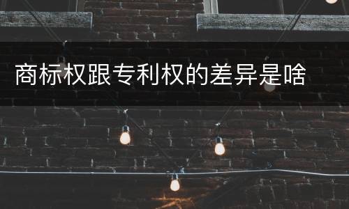 商标权跟专利权的差异是啥