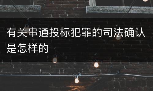 有关串通投标犯罪的司法确认是怎样的
