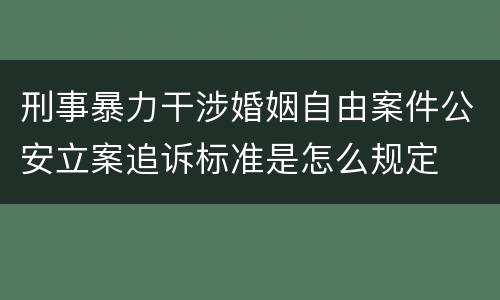 刑事暴力干涉婚姻自由案件公安立案追诉标准是怎么规定
