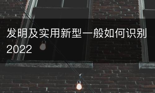 发明及实用新型一般如何识别2022