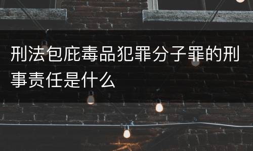 刑法包庇毒品犯罪分子罪的刑事责任是什么