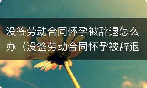没签劳动合同怀孕被辞退怎么办（没签劳动合同怀孕被辞退怎么办赔偿）