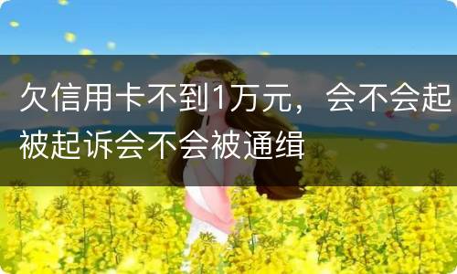 欠信用卡不到1万元，会不会起被起诉会不会被通缉