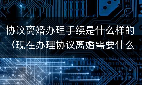 协议离婚办理手续是什么样的（现在办理协议离婚需要什么手续）