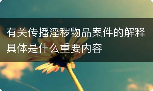有关传播淫秽物品案件的解释具体是什么重要内容