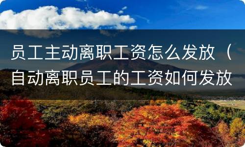 员工主动离职工资怎么发放（自动离职员工的工资如何发放）