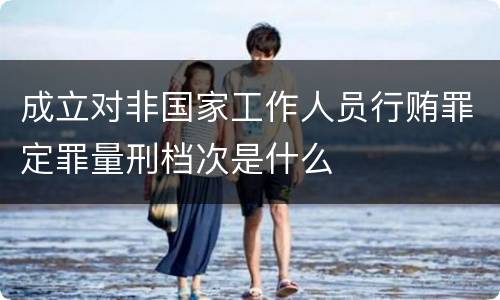 成立对非国家工作人员行贿罪定罪量刑档次是什么