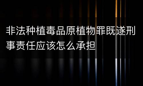 非法种植毒品原植物罪既遂刑事责任应该怎么承担