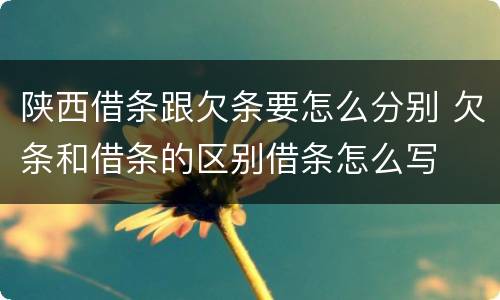陕西借条跟欠条要怎么分别 欠条和借条的区别借条怎么写