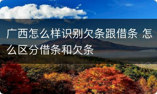广西怎么样识别欠条跟借条 怎么区分借条和欠条