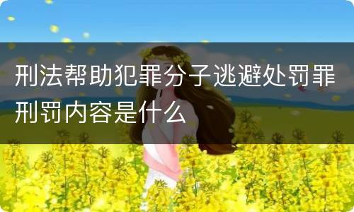 刑法帮助犯罪分子逃避处罚罪刑罚内容是什么