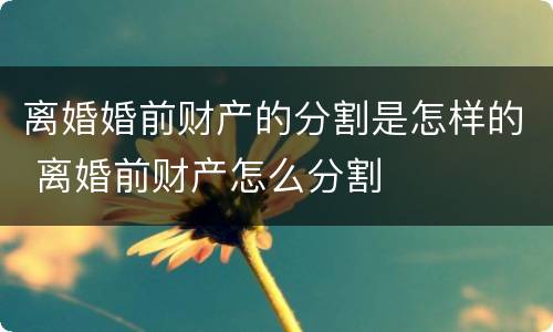 离婚婚前财产的分割是怎样的 离婚前财产怎么分割