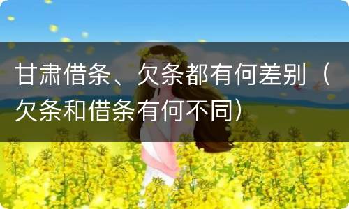 甘肃借条、欠条都有何差别（欠条和借条有何不同）