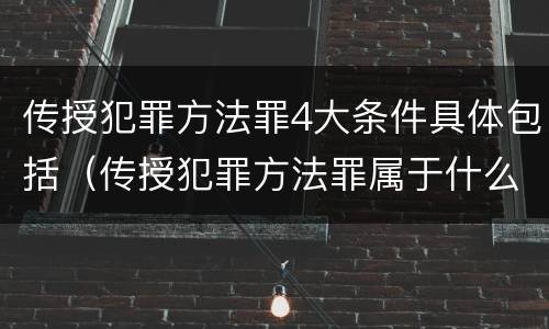 传授犯罪方法罪4大条件具体包括（传授犯罪方法罪属于什么）