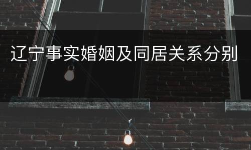 辽宁事实婚姻及同居关系分别