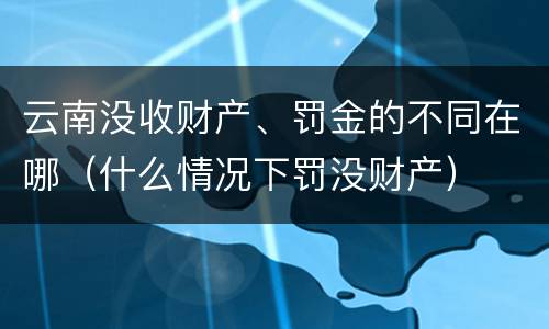 云南没收财产、罚金的不同在哪（什么情况下罚没财产）