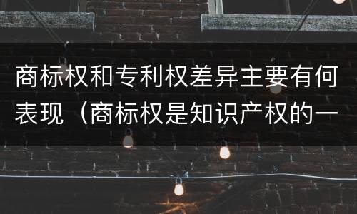 商标权和专利权差异主要有何表现（商标权是知识产权的一种吗）