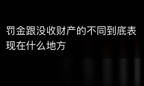 罚金跟没收财产的不同到底表现在什么地方