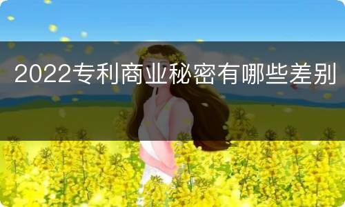 2022专利商业秘密有哪些差别