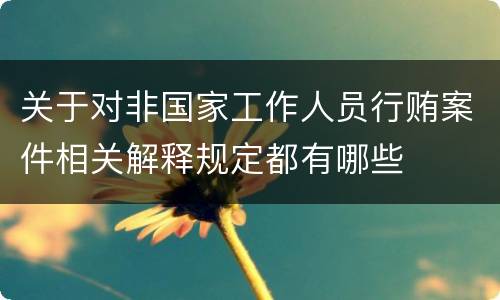 关于对非国家工作人员行贿案件相关解释规定都有哪些