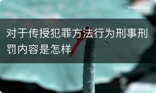 对于传授犯罪方法行为刑事刑罚内容是怎样