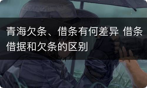 青海欠条、借条有何差异 借条借据和欠条的区别