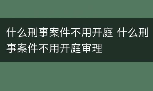 什么刑事案件不用开庭 什么刑事案件不用开庭审理