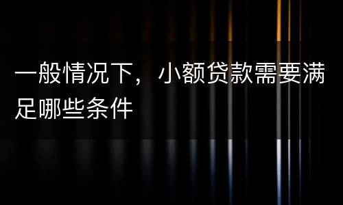 一般情况下，小额贷款需要满足哪些条件