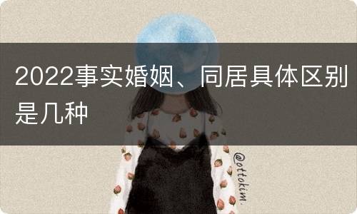 2022事实婚姻、同居具体区别是几种