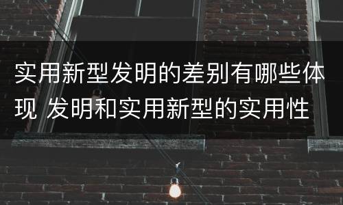 实用新型发明的差别有哪些体现 发明和实用新型的实用性