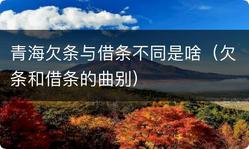 青海欠条与借条不同是啥（欠条和借条的曲别）