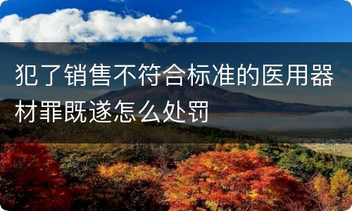 犯了销售不符合标准的医用器材罪既遂怎么处罚