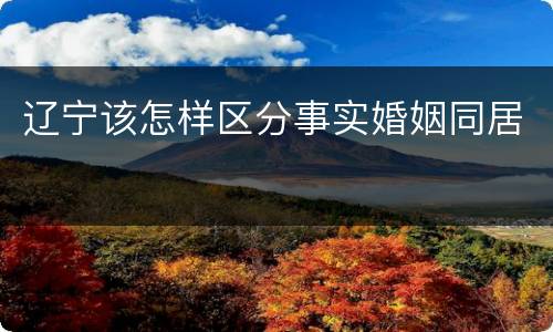 辽宁该怎样区分事实婚姻同居