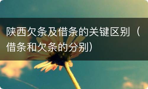 陕西欠条及借条的关键区别（借条和欠条的分别）