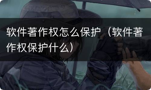 软件著作权怎么保护（软件著作权保护什么）