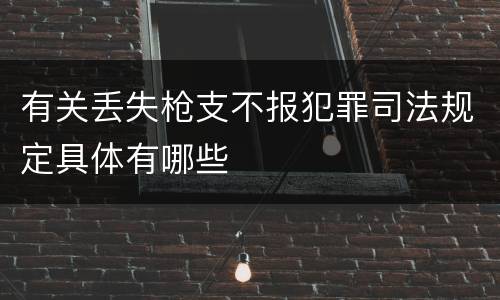 有关丢失枪支不报犯罪司法规定具体有哪些