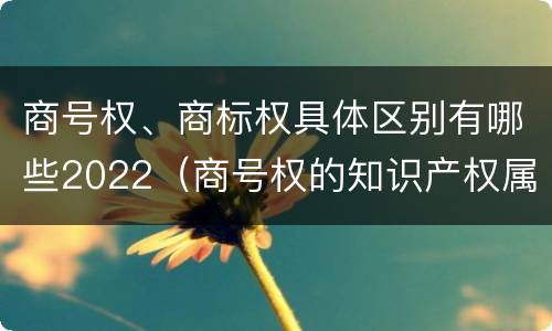 商号权、商标权具体区别有哪些2022（商号权的知识产权属性）