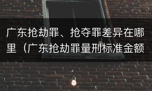 广东抢劫罪、抢夺罪差异在哪里（广东抢劫罪量刑标准金额）
