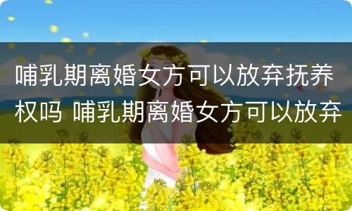 哺乳期离婚女方可以放弃抚养权吗 哺乳期离婚女方可以放弃抚养权吗