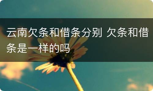 云南欠条和借条分别 欠条和借条是一样的吗