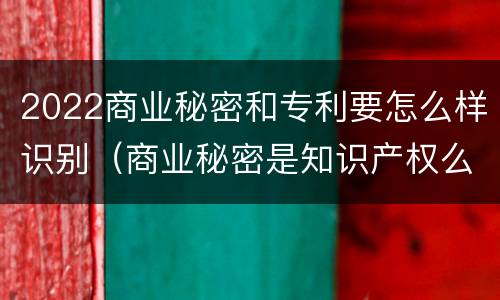 2022商业秘密和专利要怎么样识别（商业秘密是知识产权么）