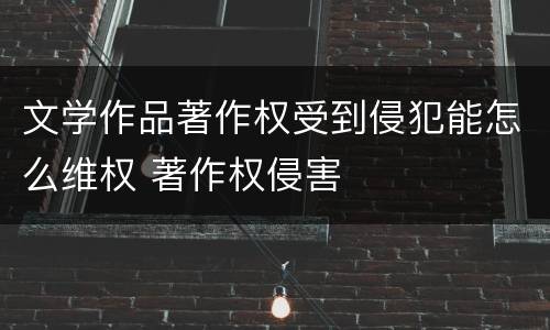 文学作品著作权受到侵犯能怎么维权 著作权侵害