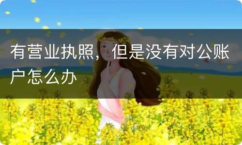 有营业执照，但是没有对公账户怎么办