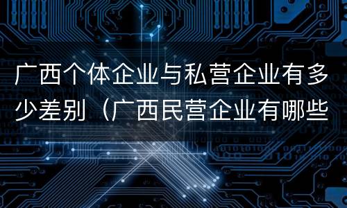 广西个体企业与私营企业有多少差别（广西民营企业有哪些）
