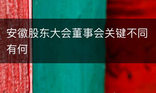 安徽股东大会董事会关键不同有何