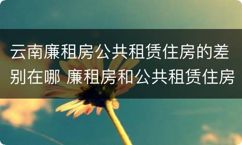 云南廉租房公共租赁住房的差别在哪 廉租房和公共租赁住房的区别