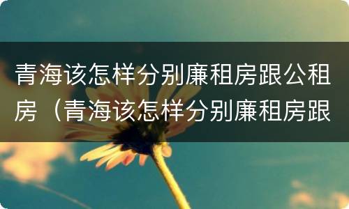 青海该怎样分别廉租房跟公租房（青海该怎样分别廉租房跟公租房呢）