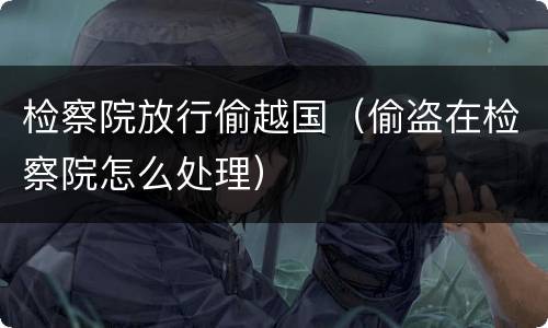 检察院放行偷越国（偷盗在检察院怎么处理）