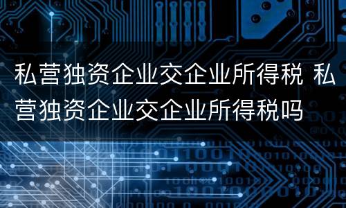 私营独资企业交企业所得税 私营独资企业交企业所得税吗