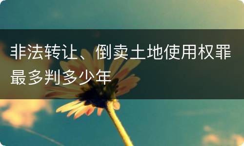 非法转让、倒卖土地使用权罪最多判多少年